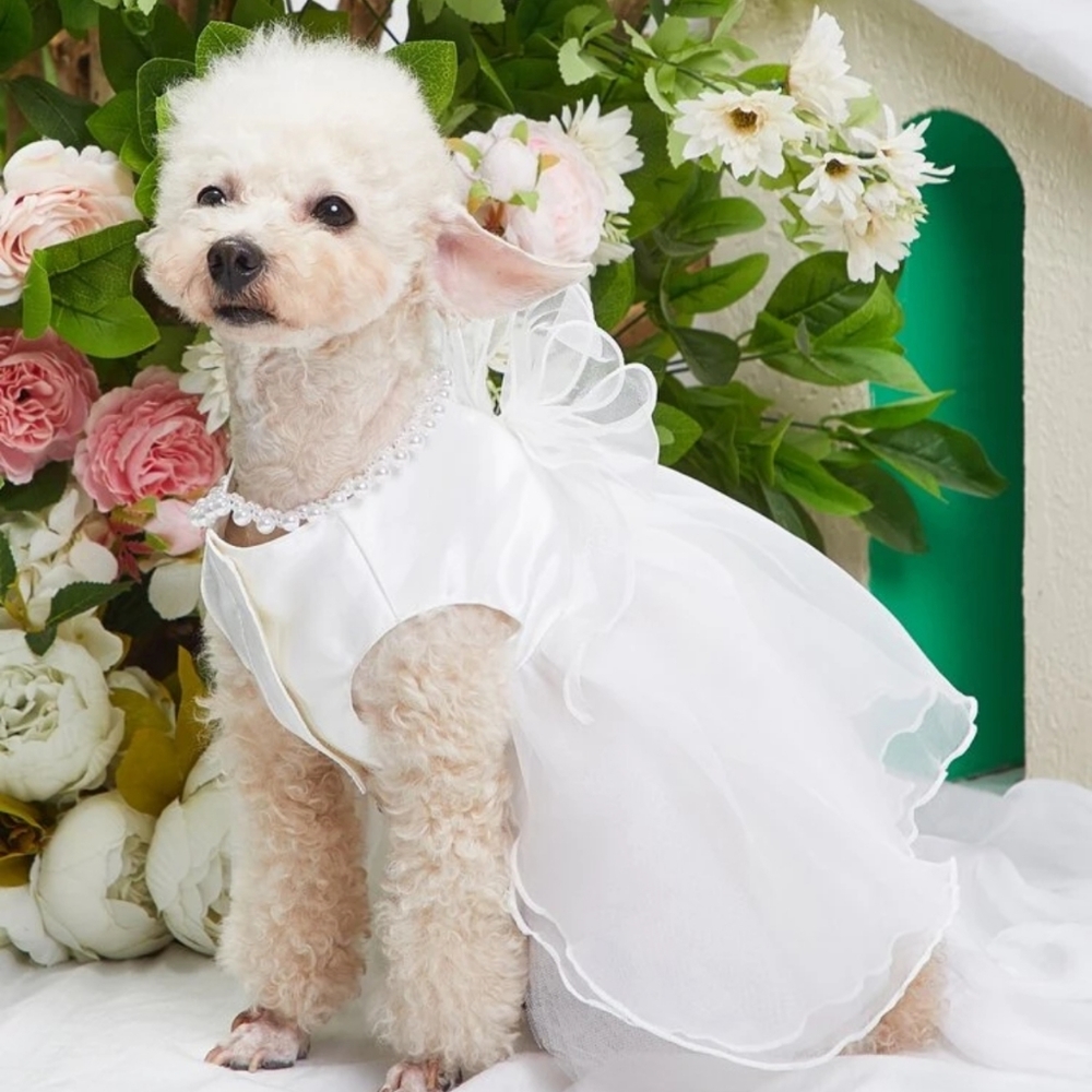 New dog wedding dress with tulle